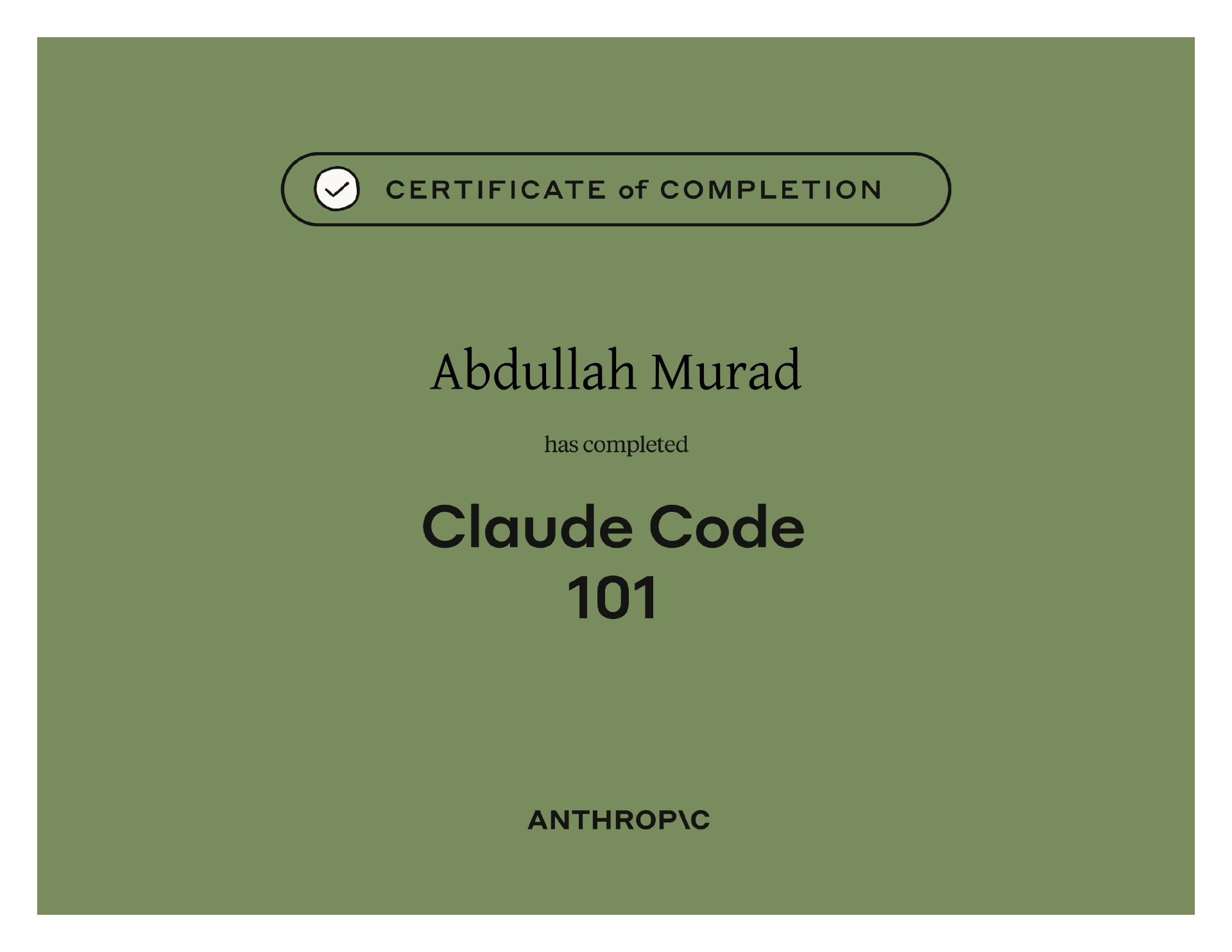 Claude Code 101